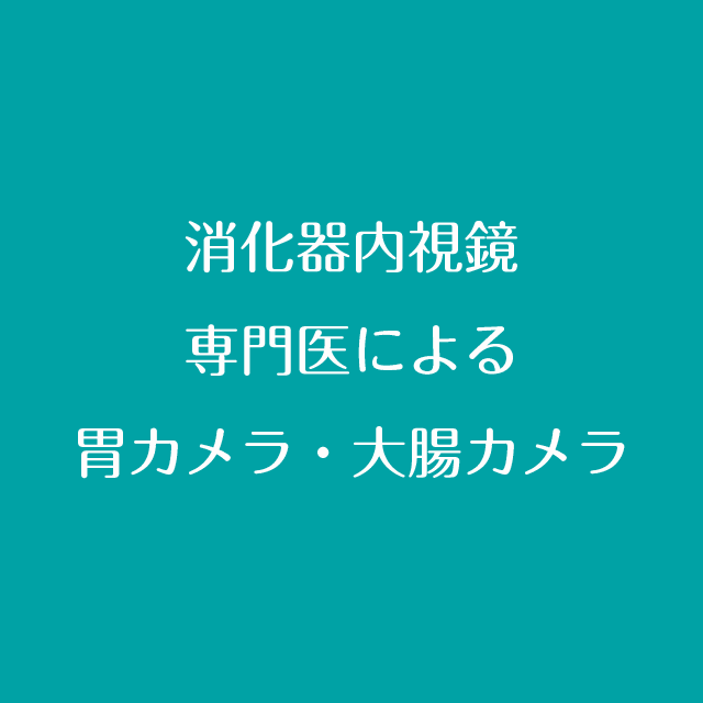 消化器内視鏡専門医による胃カメラ・大腸カメラ